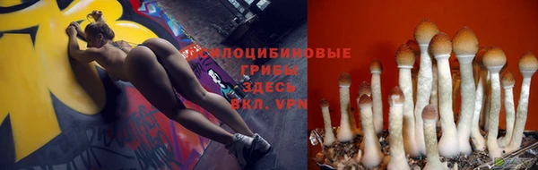 mdma Лагань