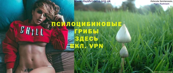 mdma Лагань